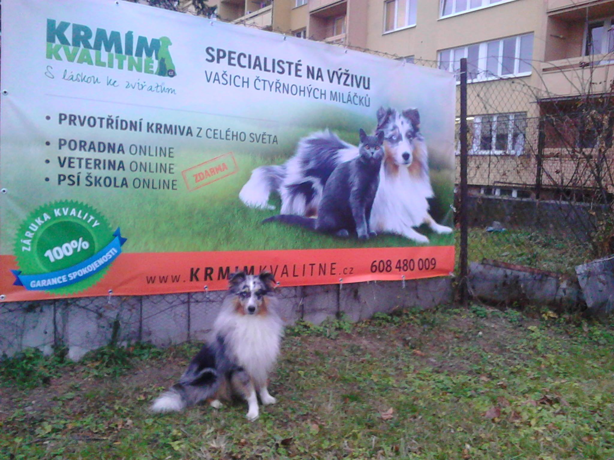 banner eco - realizace krmim kvalitne